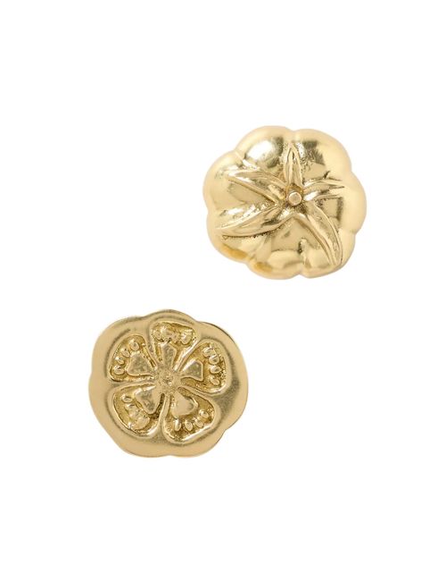 Harvest Brass Knob, Set of 2