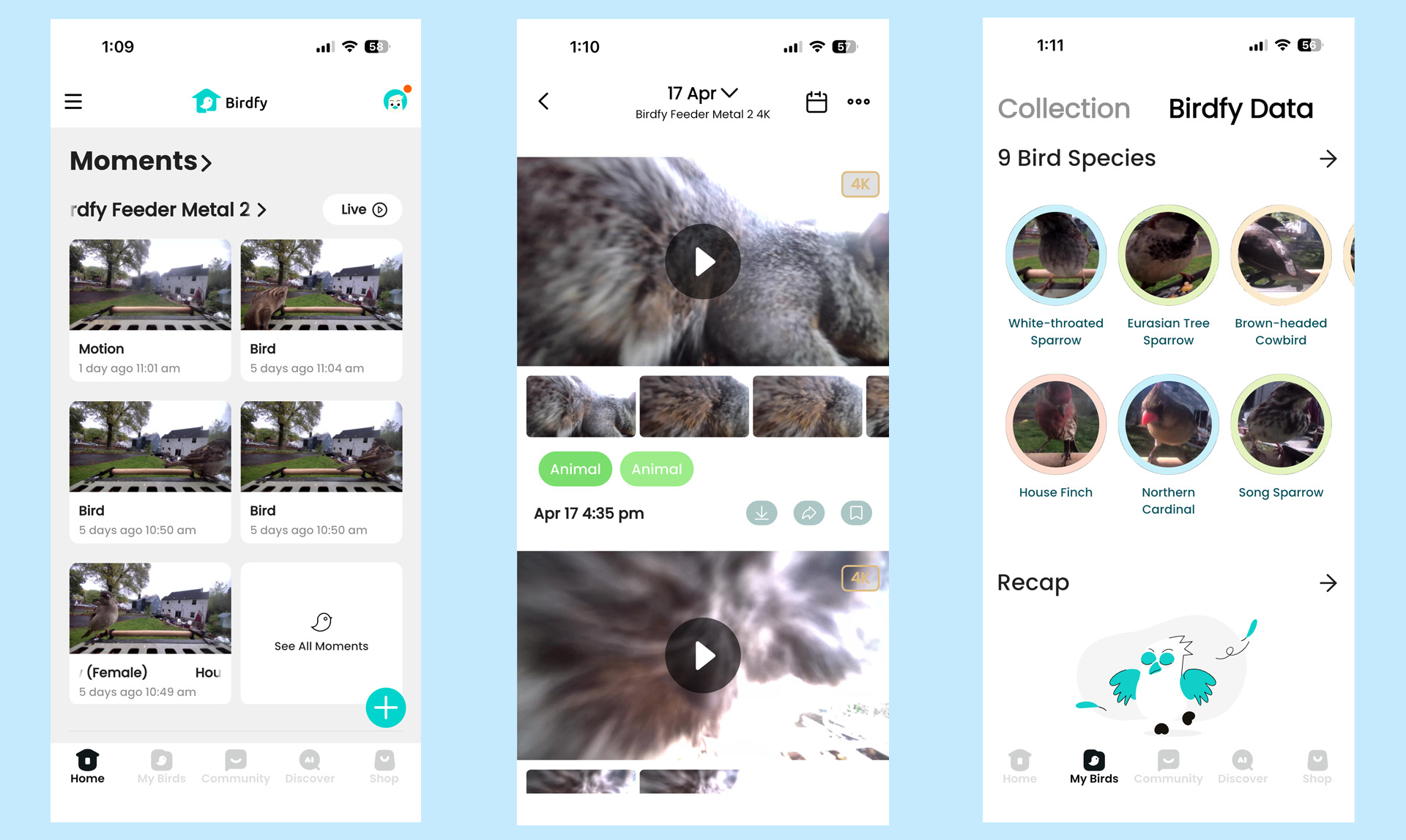 Birdfy Metal 2 4K Smart Bird Feeder screenshots