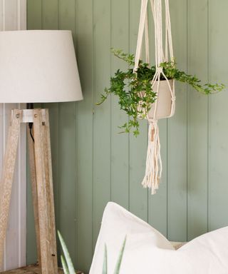 english ivy in a macrame hanger as a house plant