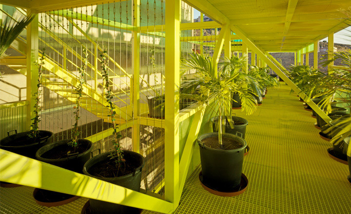 The Vertical Garden is now used as a gardening laboratory and plant nursery