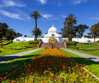 Flowers and a large white building at the San Francisco Conservatory of Flowers