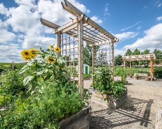 Pergola walkthrough trellis