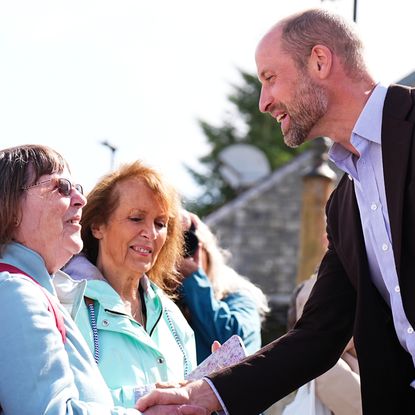 Prince William shaking hands with a woman