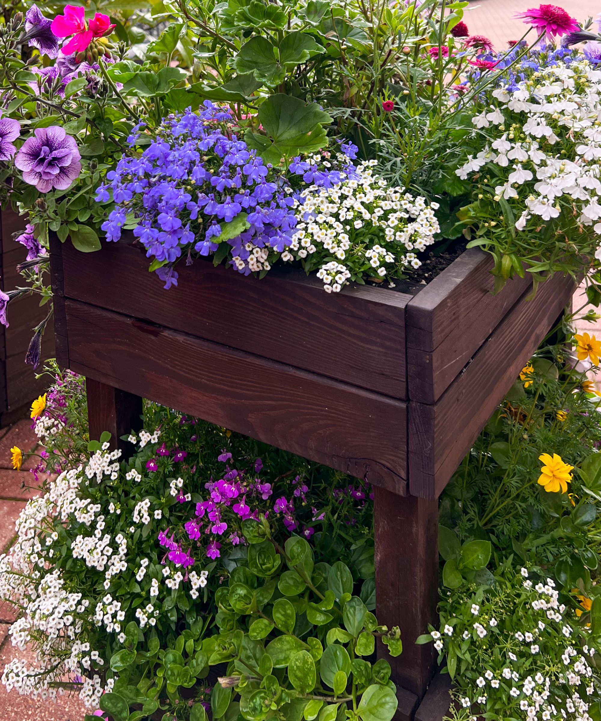 Dark wood flower box filled with colorful flowers