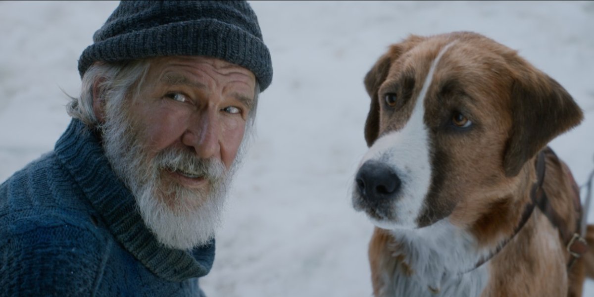 The Call of the Wild Harrison Ford and Buck looking towards the camera