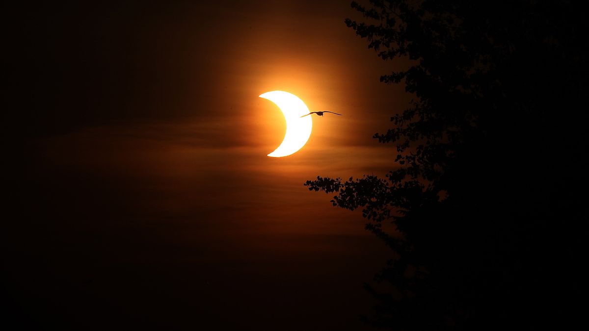 The eclipsed sun rising over Toronto on June 10, 2021, as seen by Steve Russell.