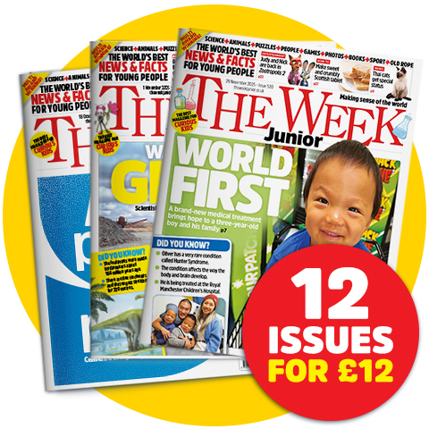 12 issues for &pound;12