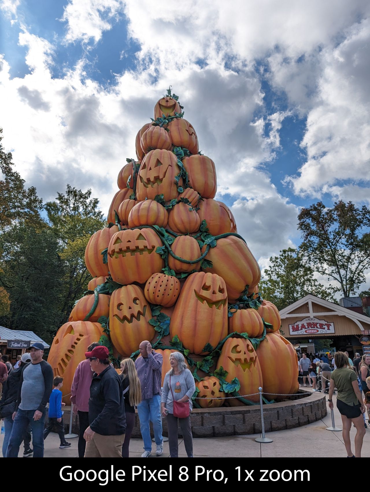 Camera samples from the Google Pixel 8 Pro's main camera