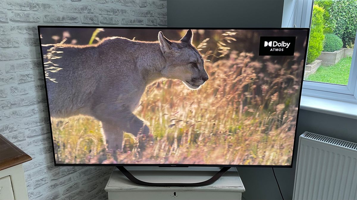 Do Hisense TVs make high-end sense? - CNET