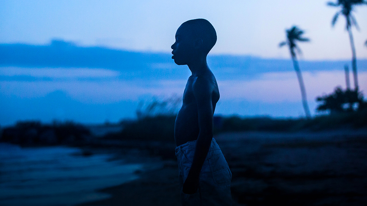 The Best Picture-winning film Moonlight