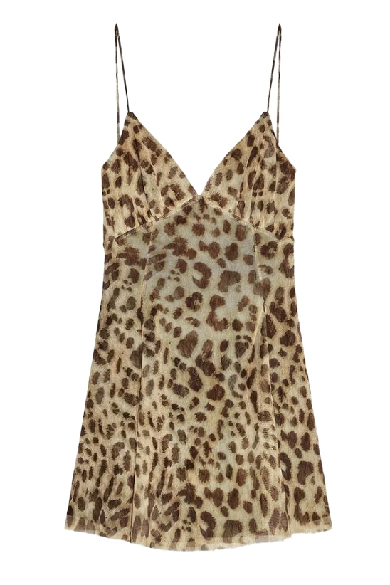 Printed Tulle Mini Dress
