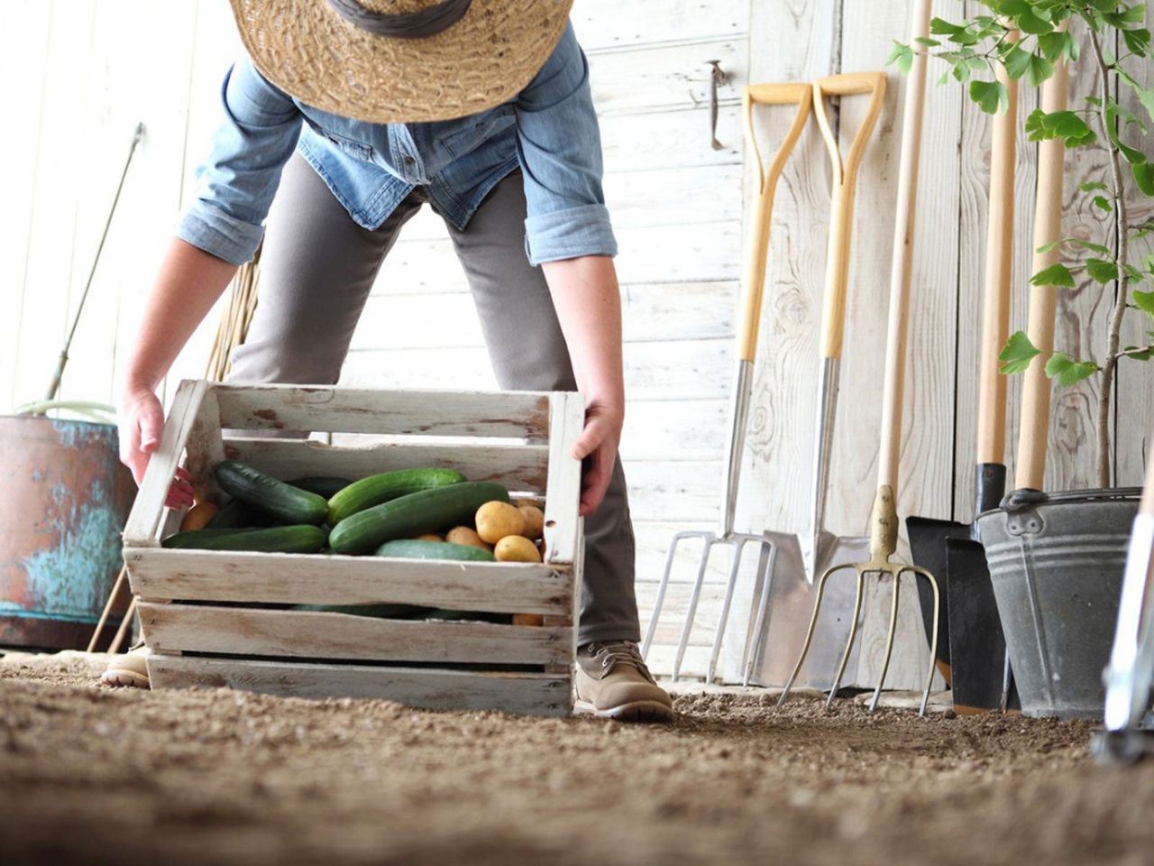 Tools Next To Farmer Holding Box Of Veggies