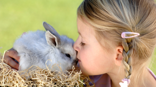 Blonde girl kissing a grey rabbit for International Rabbit Day