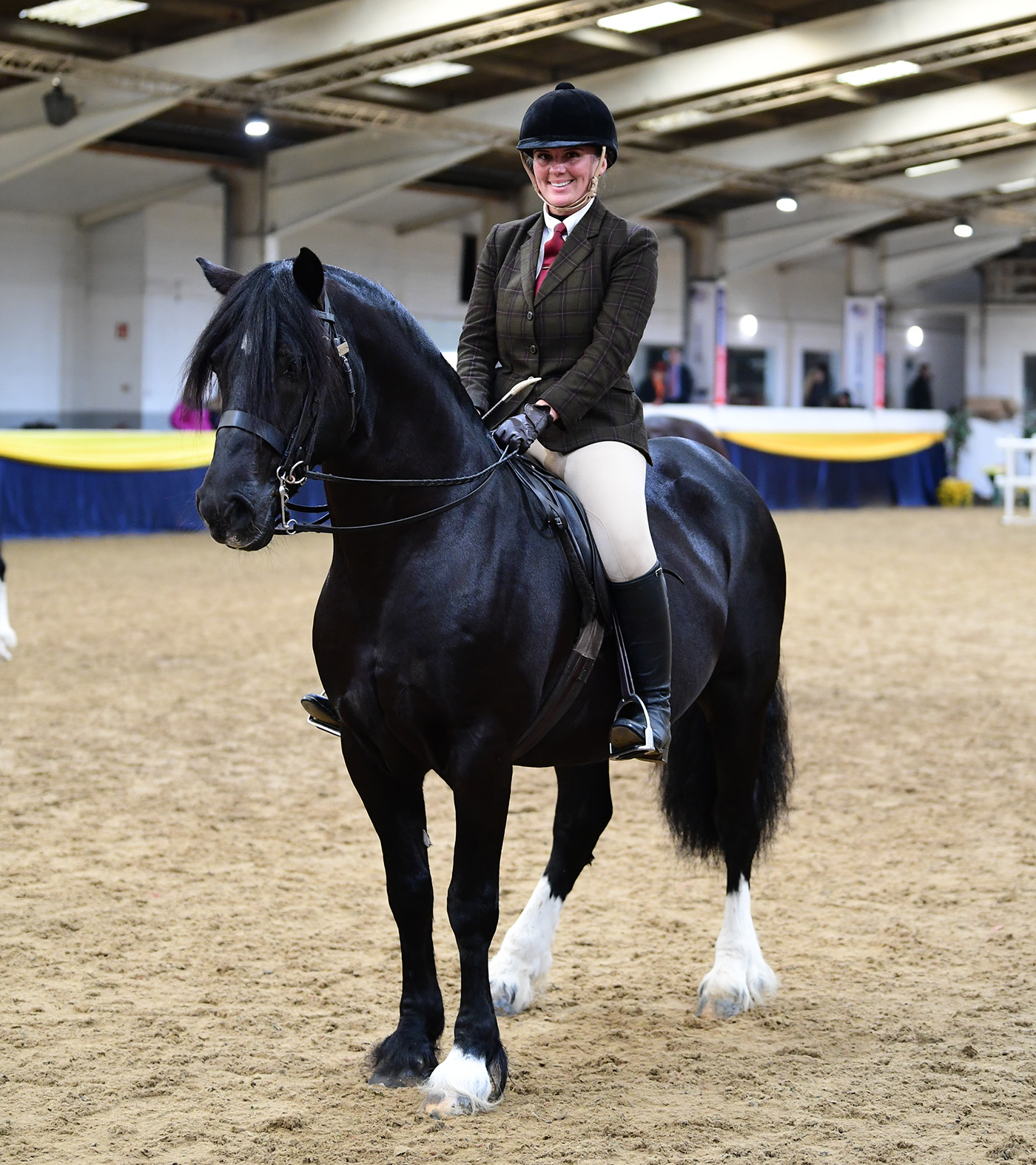 Heritage Show 14.10.23Cl 89 winnerNo. 105 Kaybrook Midnight Comet