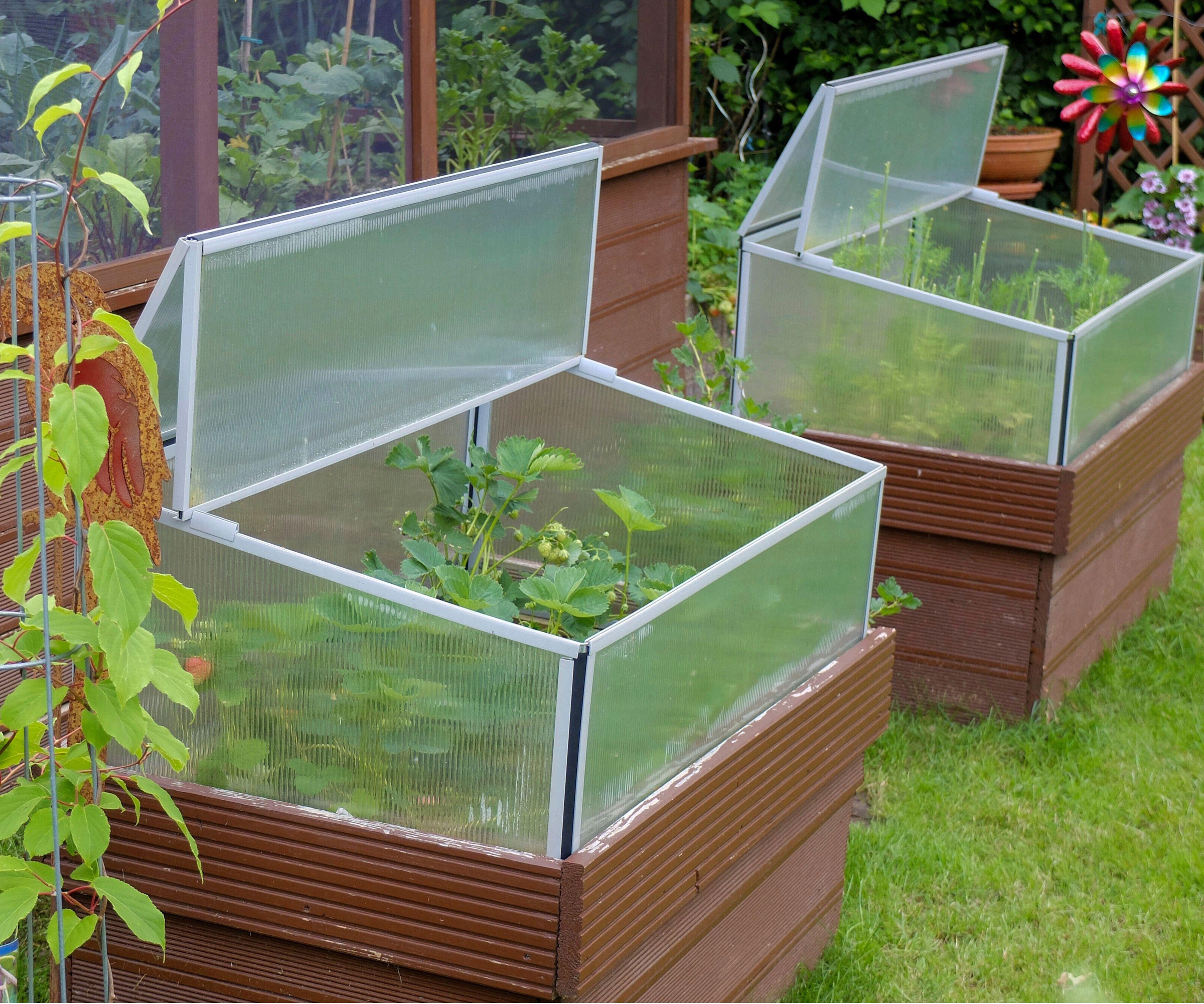 Raised bed cold frames
