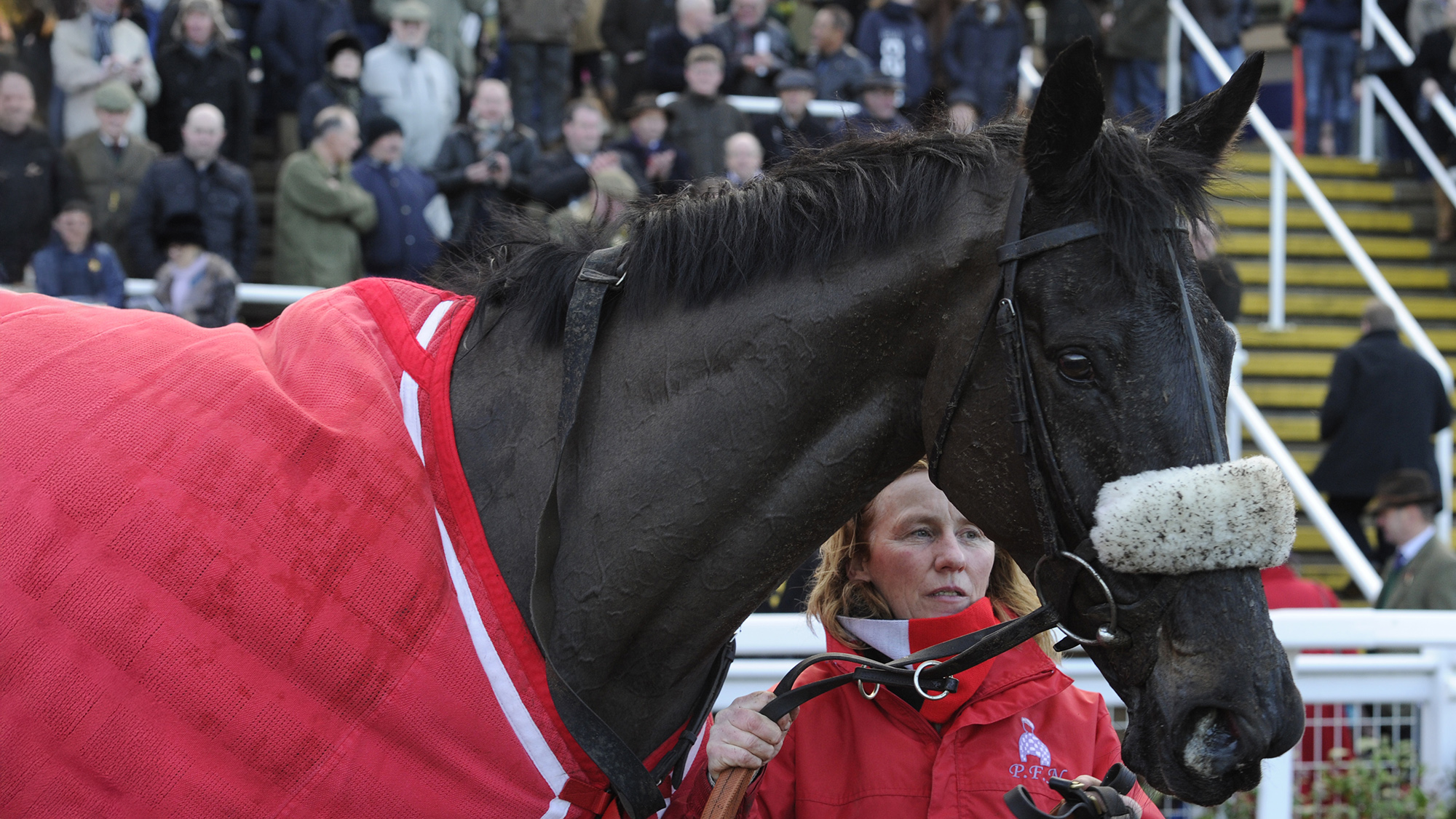 Pictured racehorse Big Buck's