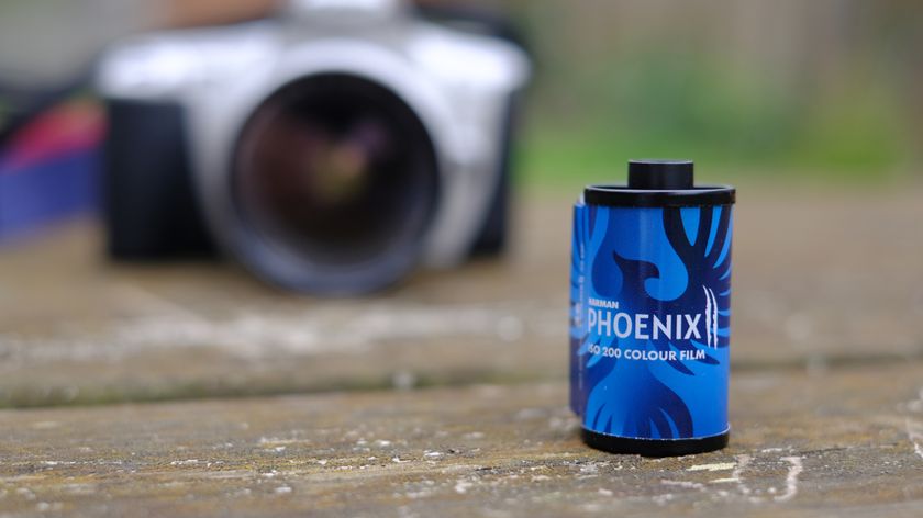 Photography of Harman Phoenix II 35mm film