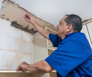Man wearing blue shirt stood on ladder inspecting ceiling