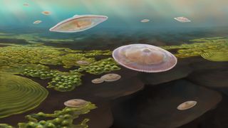 An artist’s impression of what Francevillian Basin &quot;macrofossils&quot; might have looked like if they were alive 2.1 billion years ago. 