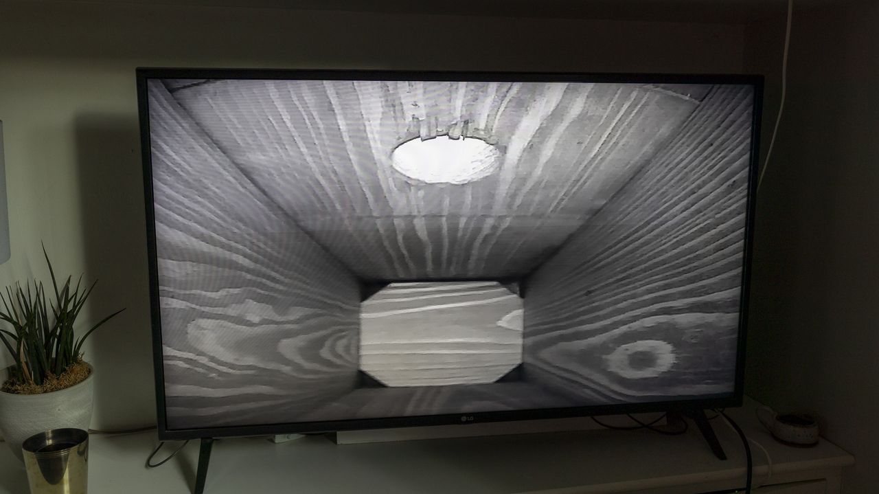 Night livestream from the Green Feathers TV Connection Bird Box &amp; Wildlife Camera