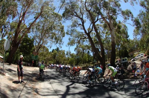 The bunch make the most of the warm weather in Australia