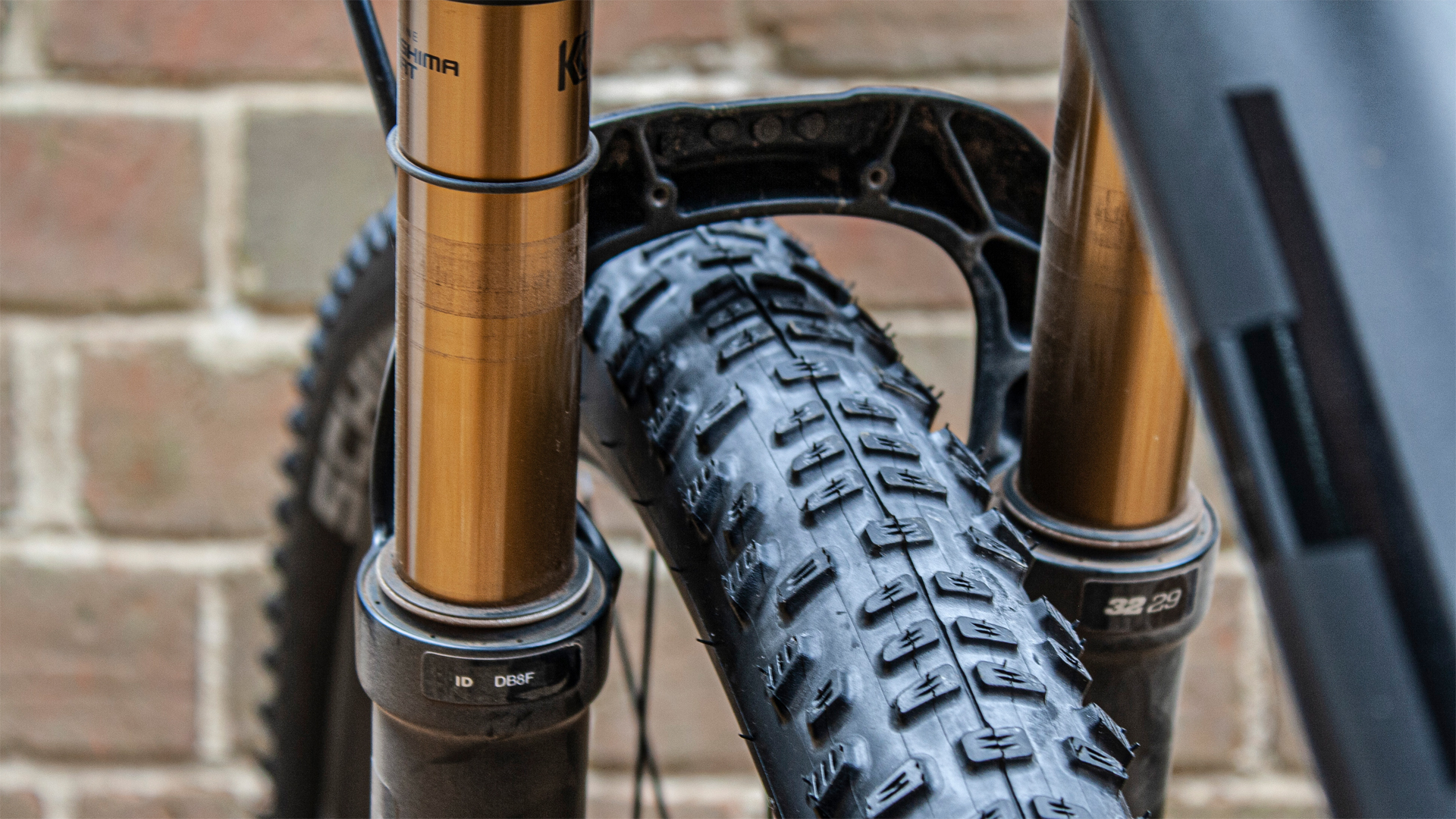 Schwalbe Racing Ralph Performance Line tire review – good in the wet ...