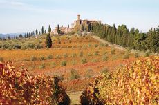Montalcino wine tour, Castello Banfi