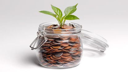 Coin jar with sapling growing out of it 