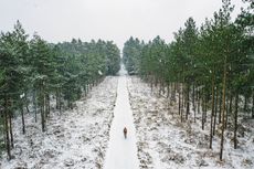 Riding along a forest track in the snow