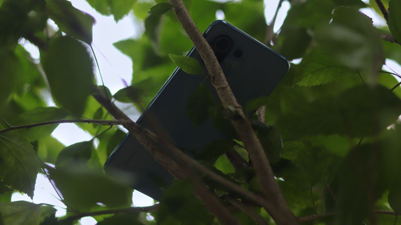 Xiaomi Mi 11 Lite review