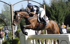 Fernhill-Present1.jpg