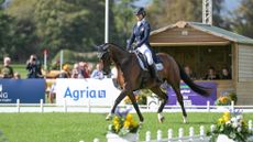 Blenheim European Championships withdrawal: Sofia Sj&ouml;borg and Govalent will not run across country
