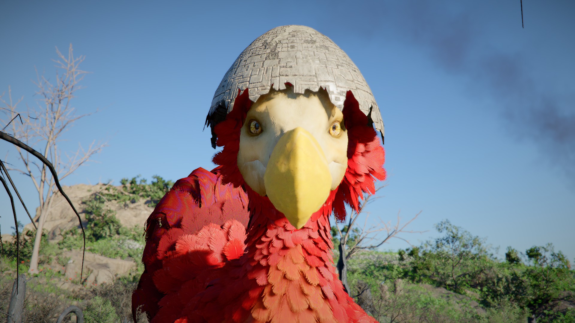Kuku Bird mount in Crimson Desert