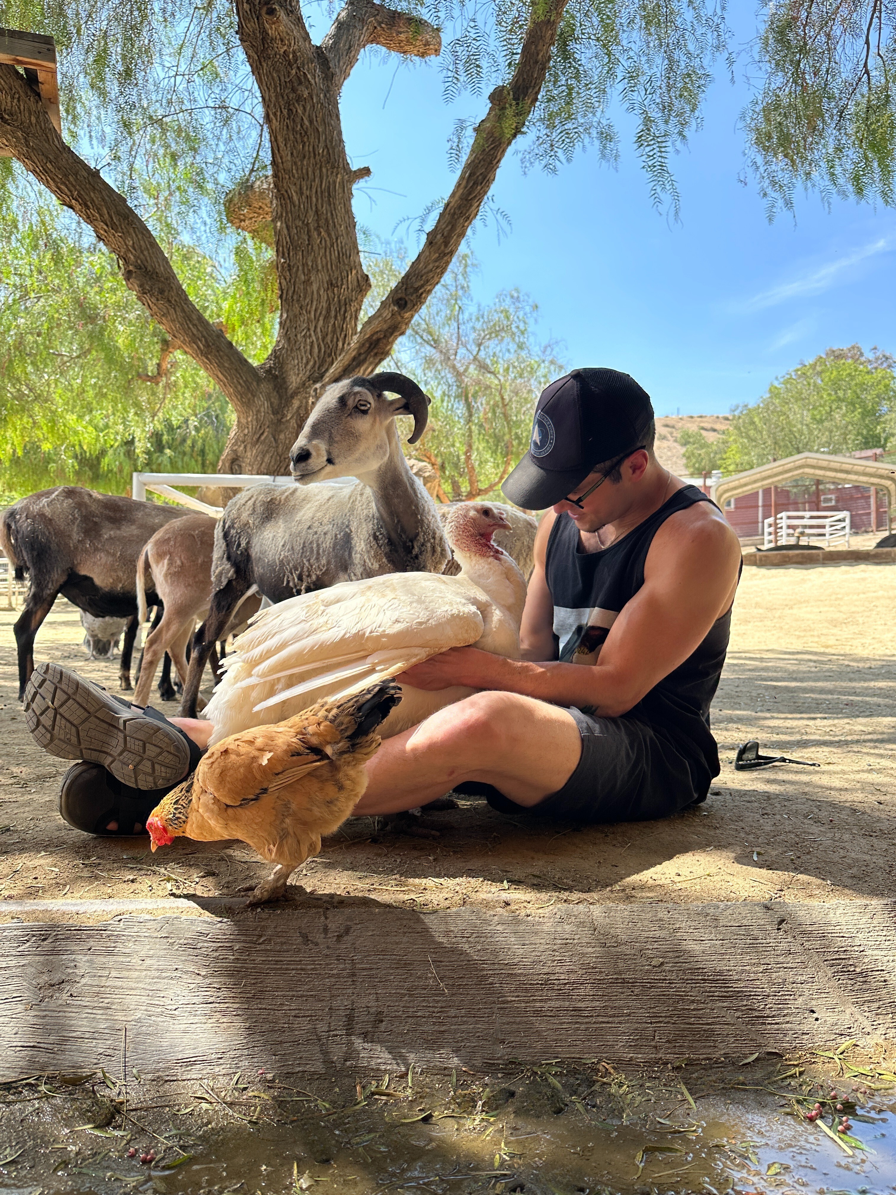 A man holds a turkey at The Gentle Barn