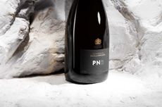 Bollinger PN VZ 15