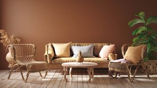 Brown living room walls