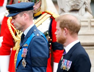 Prince Harry, Prince William, King Charles