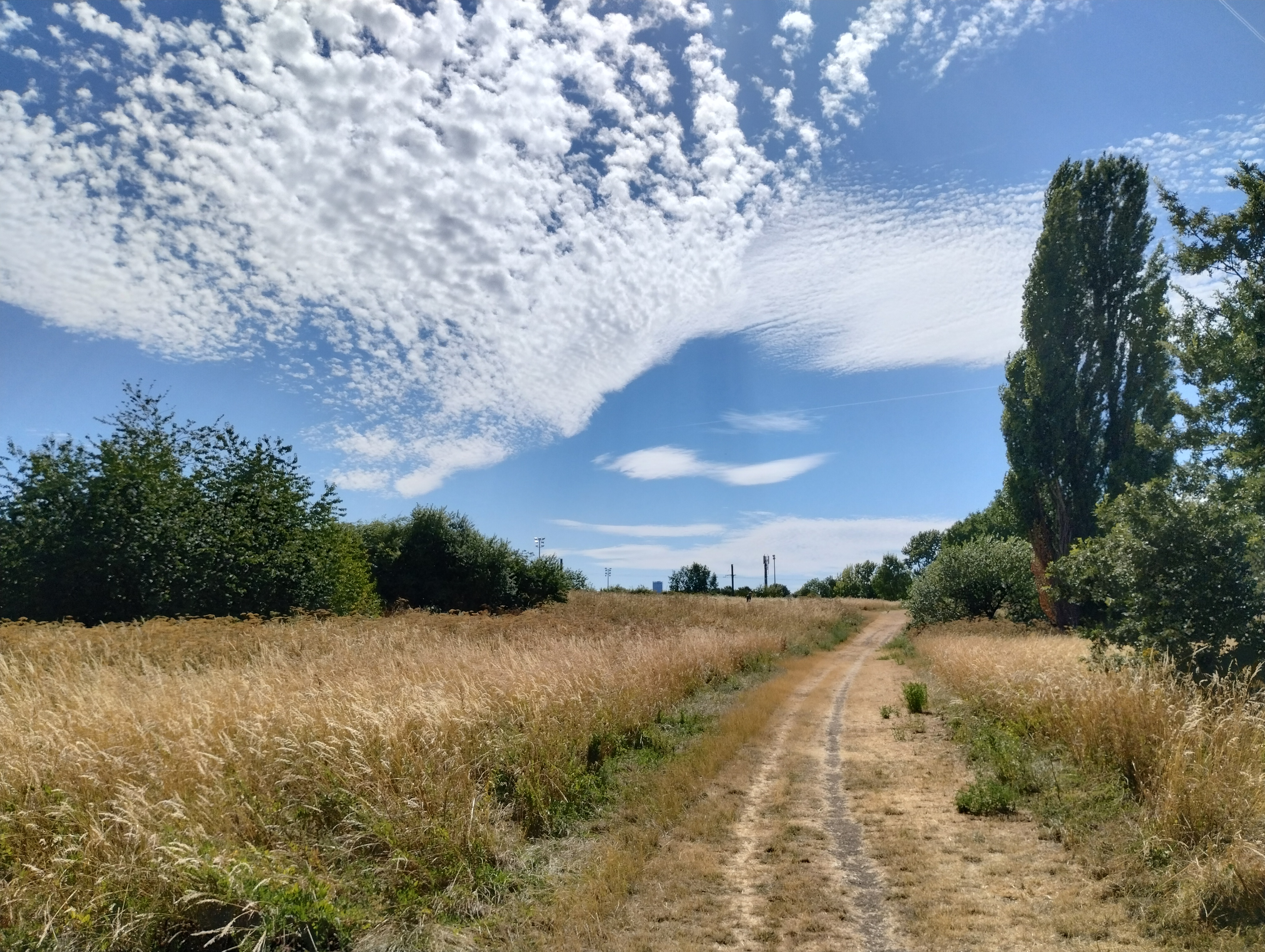 Motorola Moto G82 camera sample: In scenes such as this, you can see the strength of the Auto HDR software, which keeps the foreground bright without blowing out those lovely cloud textures.