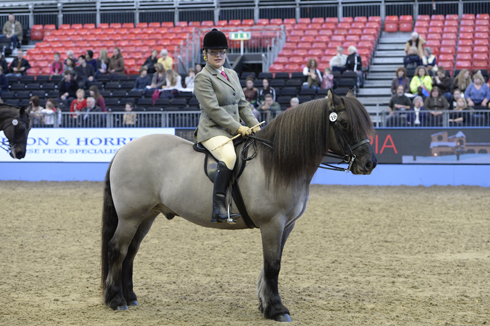 RiddenChamp_Olympia13pn1394.jpg