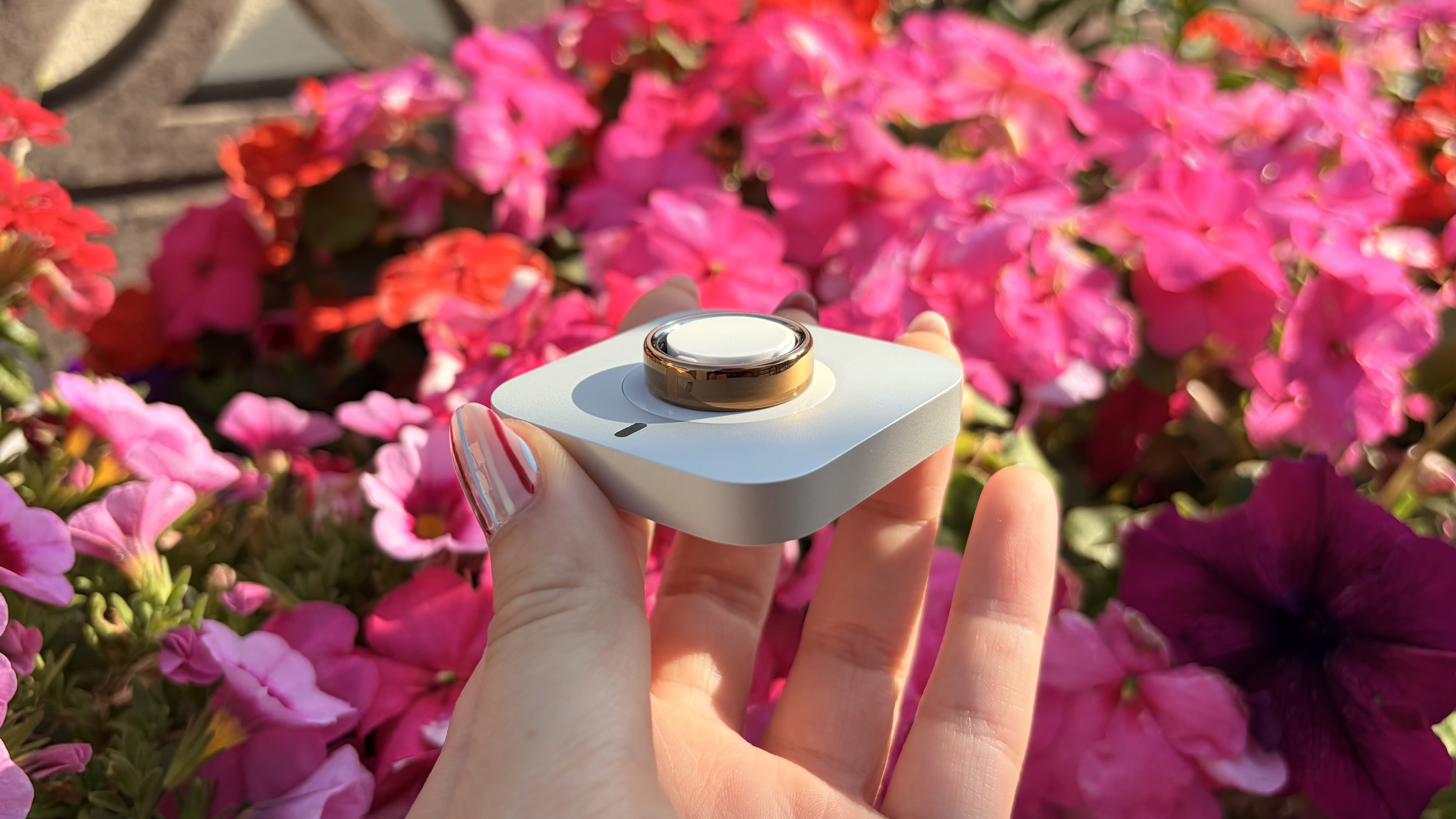 Oura Ring 5