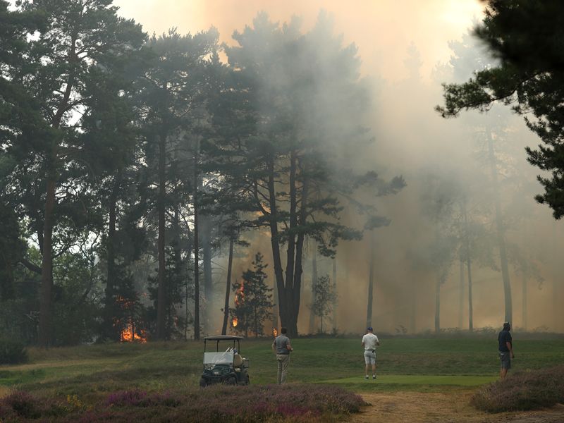 Rose Ladies Series Finale Cancelled Due To Wentworth Fire