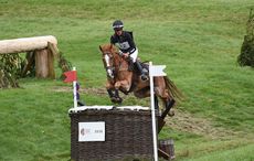 andrew-nicholson-HorseNo22_BarburyPN16_17136.jpg