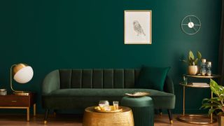 Dark green wall and sofa