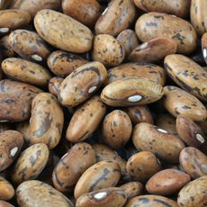 rattlesnake beans 
