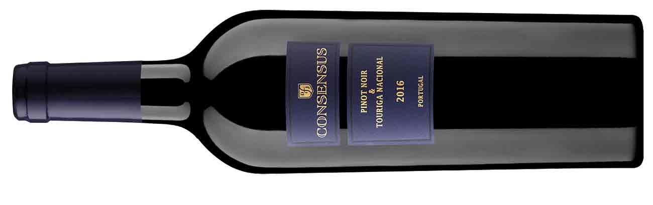 consensus_pinot_noir_touriga_nacional_2016.jpg