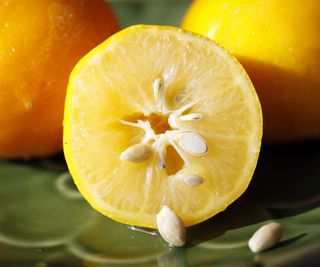 lemon fruit sliced in half with seeds
