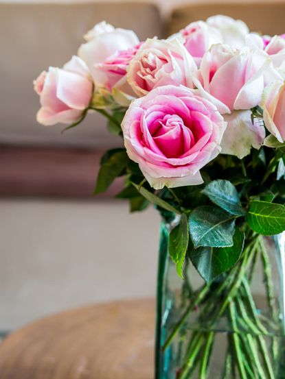 Lovely Pink & White Rose, Roses in the vase