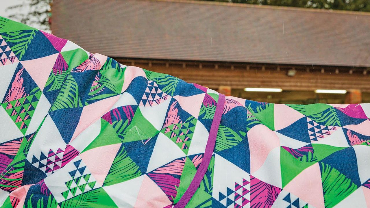 Ponyo 100g turnout rug review