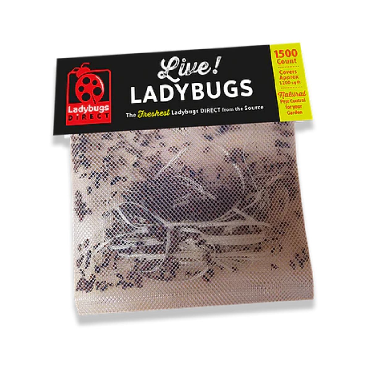 Packet of live ladybugs