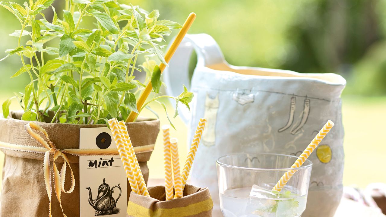 Tray with straws, glass, jug and mint plant